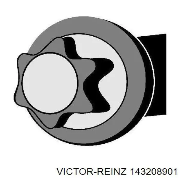 Болт головки блока циліндрів, ГБЦ 143208901 Victor Reinz