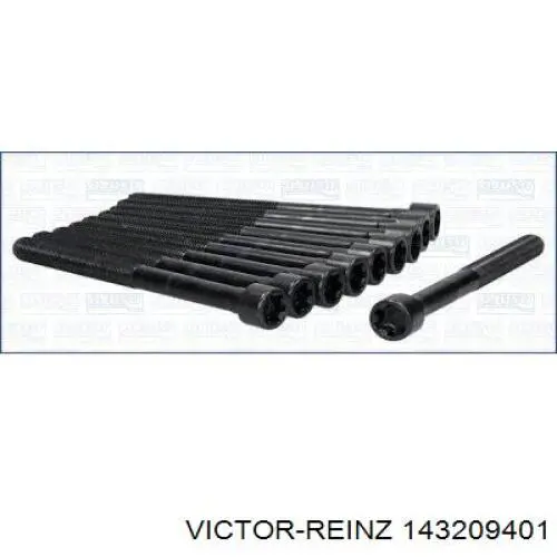 143209401 Victor Reinz