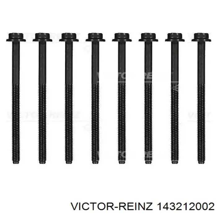 14-32120-02 Victor Reinz parafuso de cabeça de motor (cbc)
