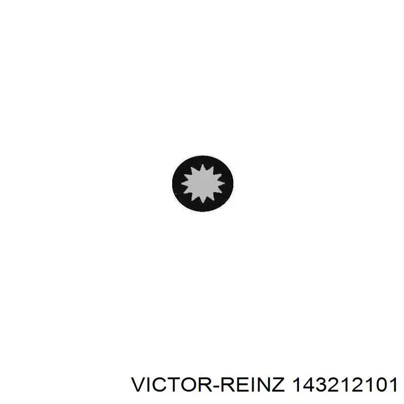 Купить 143212101 Victor Reinz Болт ГБЦ