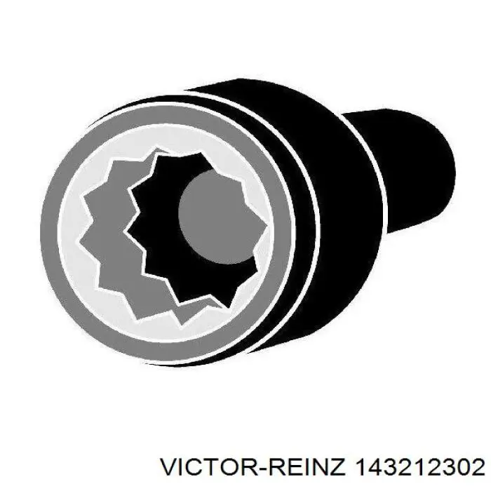 Купить 143212302 Victor Reinz Болт ГБЦ