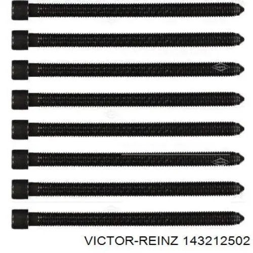 143212502 Victor Reinz Болт крепления головки блока цилиндров
