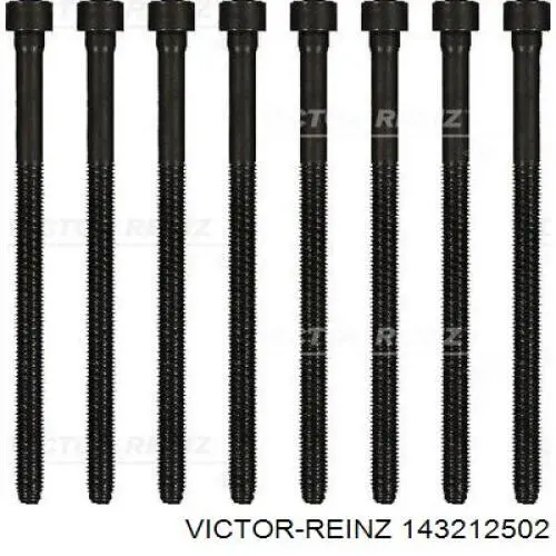 Болт головки блока цилиндров, ГБЦ Victor Reinz 143212502 цена, от 19.80 USD