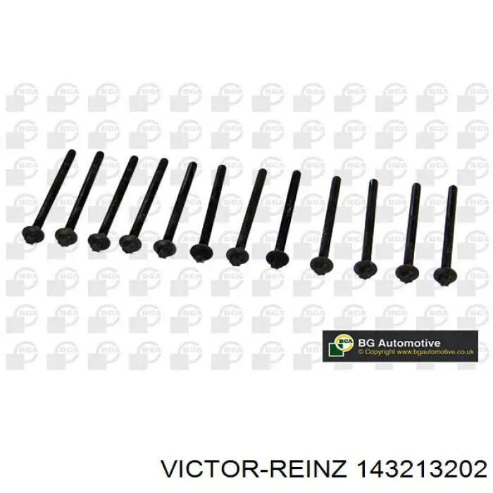 Болт головки блока цилиндров, ГБЦ Victor Reinz 143213202 цена, от 14.07 USD