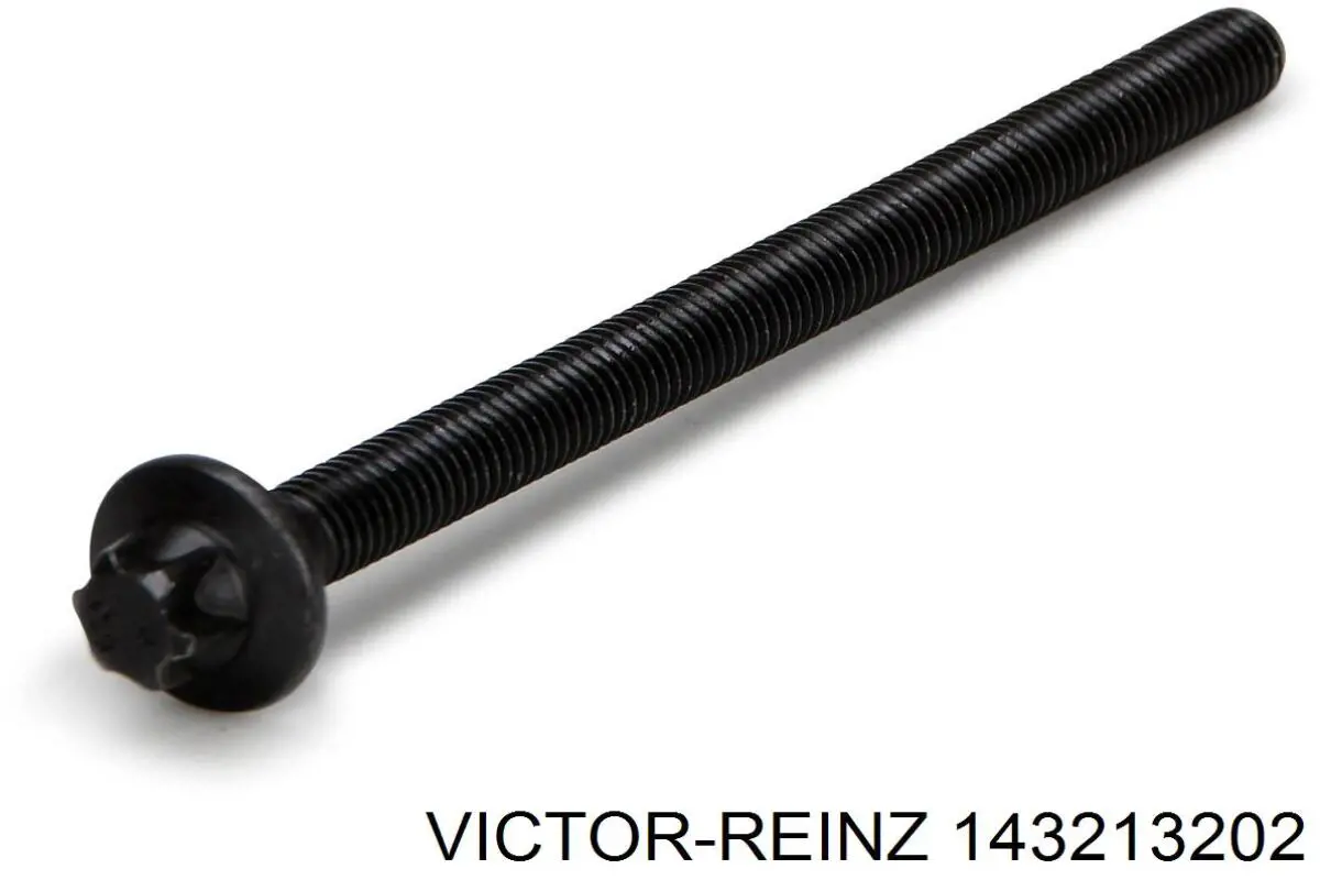 Болт головки блока цилиндров Victor Reinz 143213202