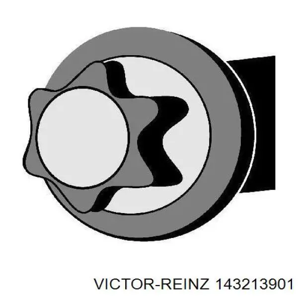 Болт ГБЦ 143213901 Victor Reinz