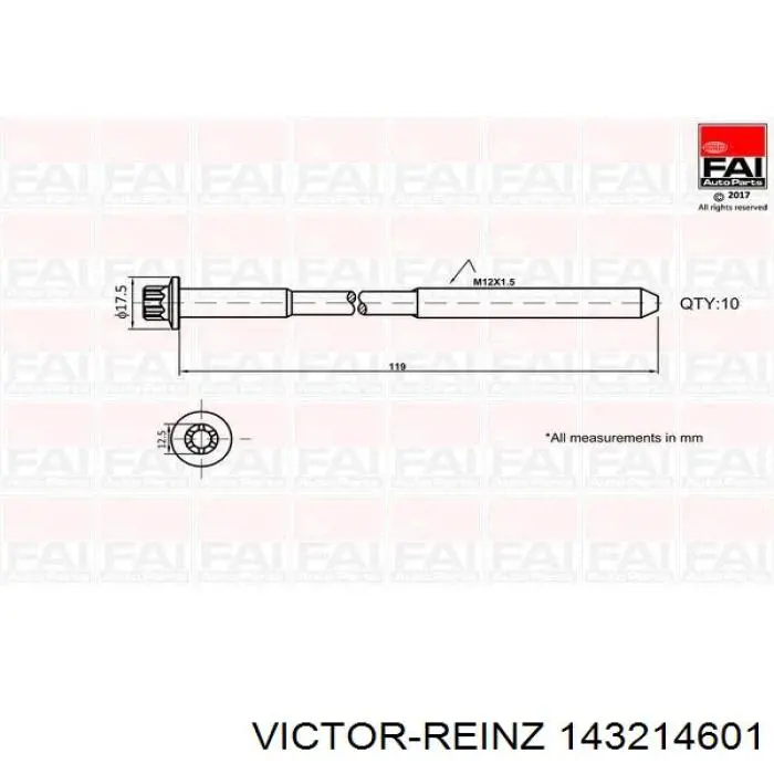 Болт головки блока циліндрів, ГБЦ 143214601 Victor Reinz