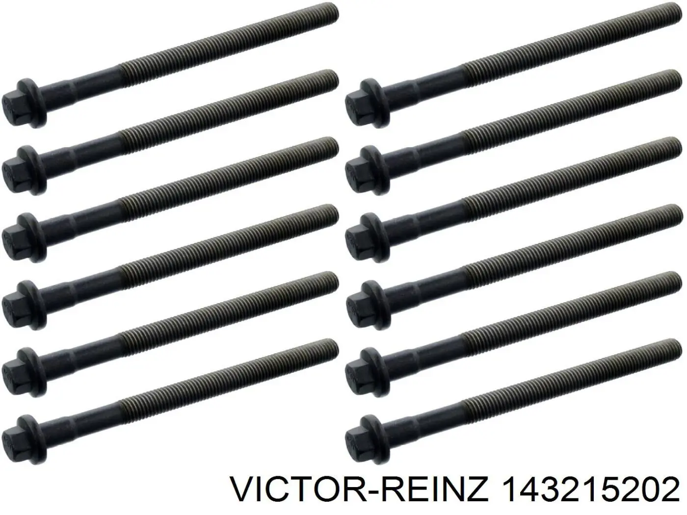 Купить 143215202 Victor Reinz Болт ГБЦ