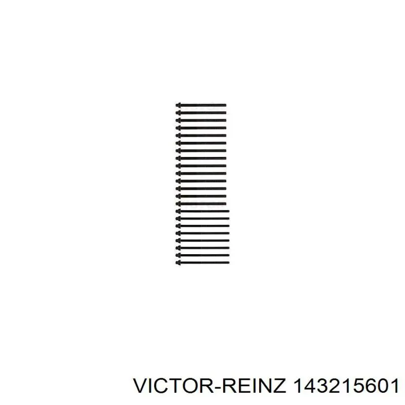 143215601 Victor Reinz болт гбц