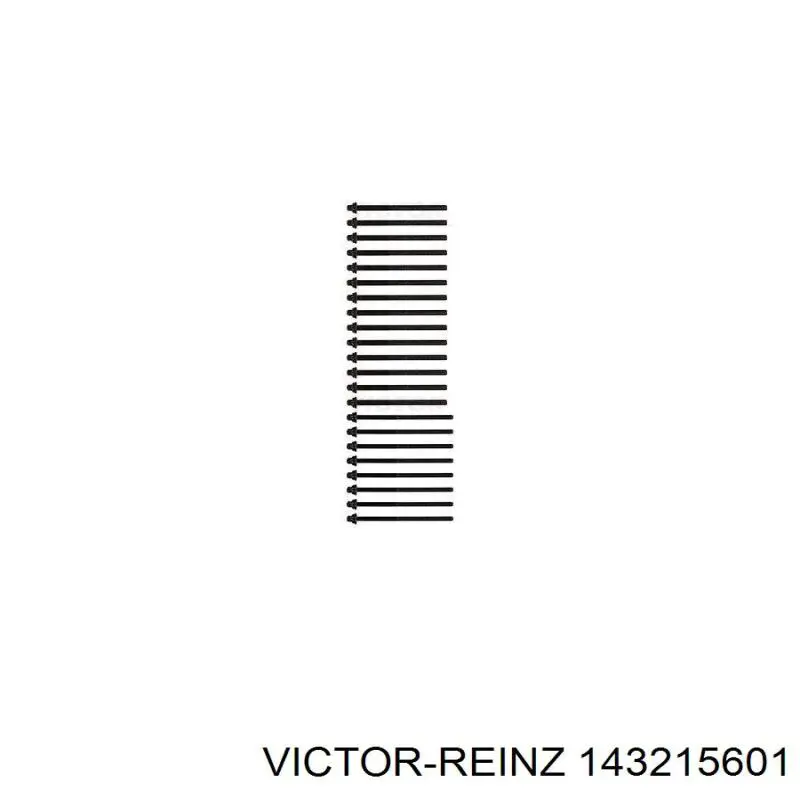 Болт ГБЦ 143215601 Victor Reinz