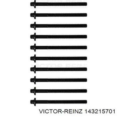 Болт головки блока цилиндров, ГБЦ Victor Reinz 143215701 цена, от 16.06 USD