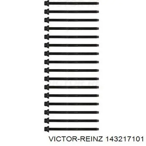 Болт ГБЦ 143217101 Victor Reinz