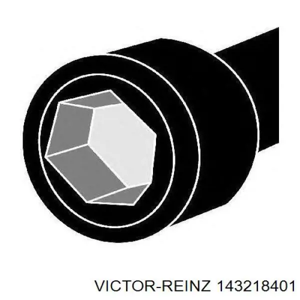 Болт головки блока цилиндров, ГБЦ Victor Reinz 143218401 цена, от 22.04 USD