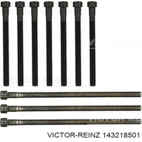 Болт головки блока цилиндров, ГБЦ Victor Reinz 143218501 цена, от 48.20 USD