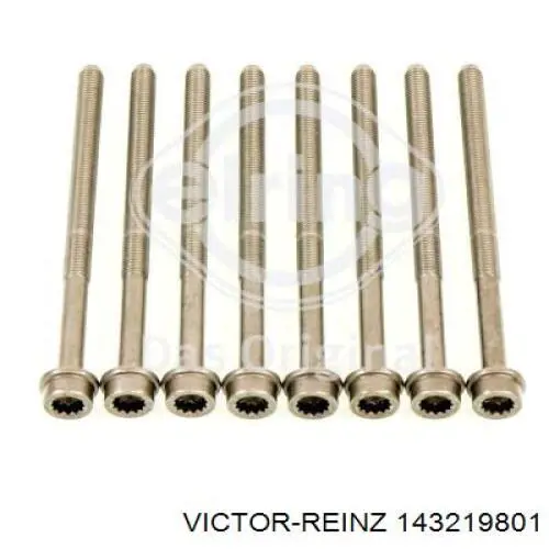 Болт головки блока цилиндров, ГБЦ Victor Reinz 143219801 цена, от 26.68 USD