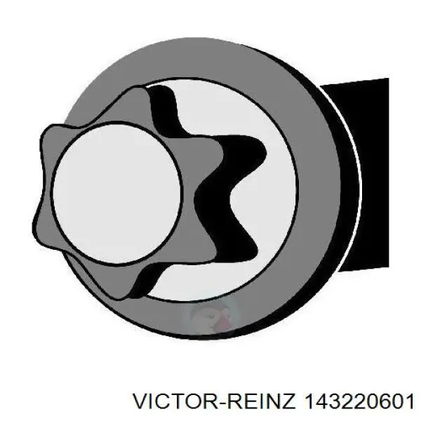 Болт головки блока цилиндров Victor Reinz 143220601