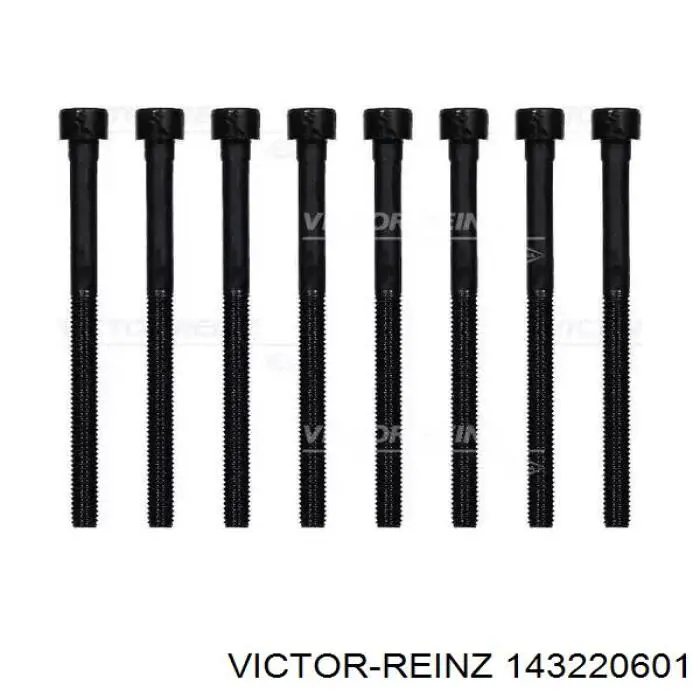 Купить 143220601 Victor Reinz Болт ГБЦ