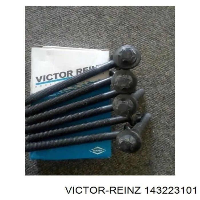 143223101 Victor Reinz