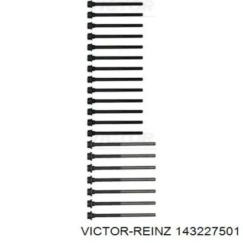 Болт головки блока циліндрів, ГБЦ 143227501 Victor Reinz