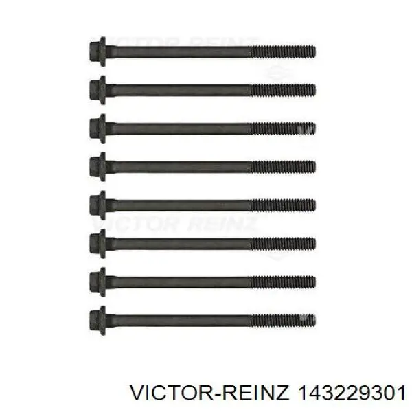 Купить 143229301 Victor Reinz Болт ГБЦ