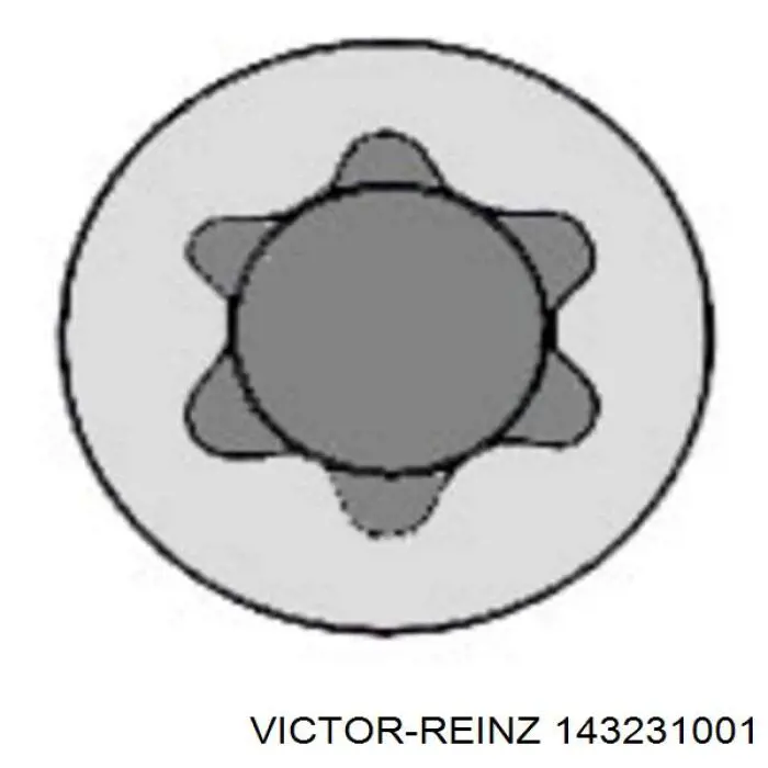 Болт ГБЦ 143231001 Victor Reinz