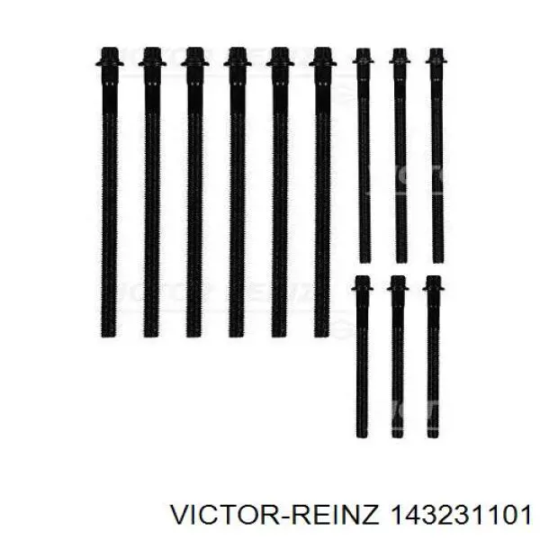 Купить 143231101 Victor Reinz Болт ГБЦ
