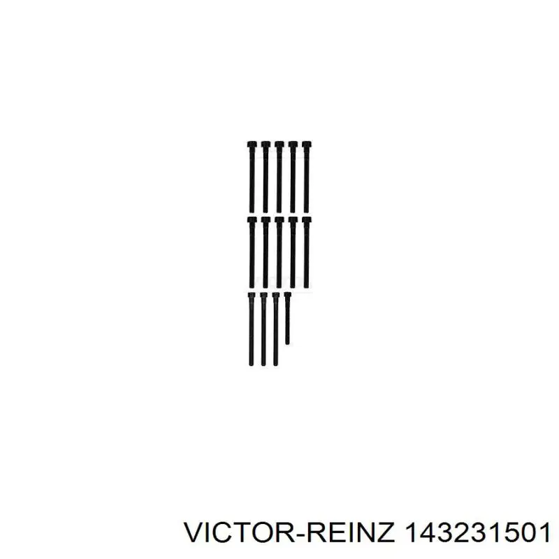 Tornillo de culata 143231501 Victor Reinz