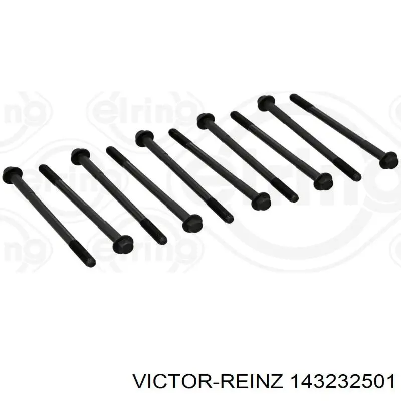 143232501 Victor Reinz