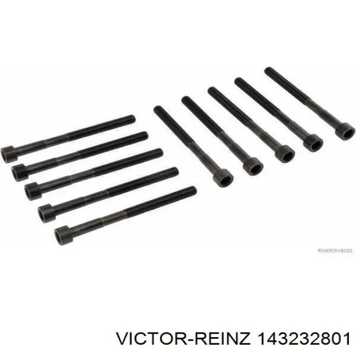 143232801 Victor Reinz