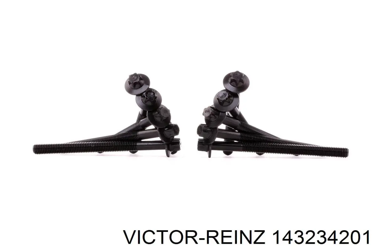 Болт головки блока цилиндров, ГБЦ Victor Reinz 143234201 цена, от 37.04 USD