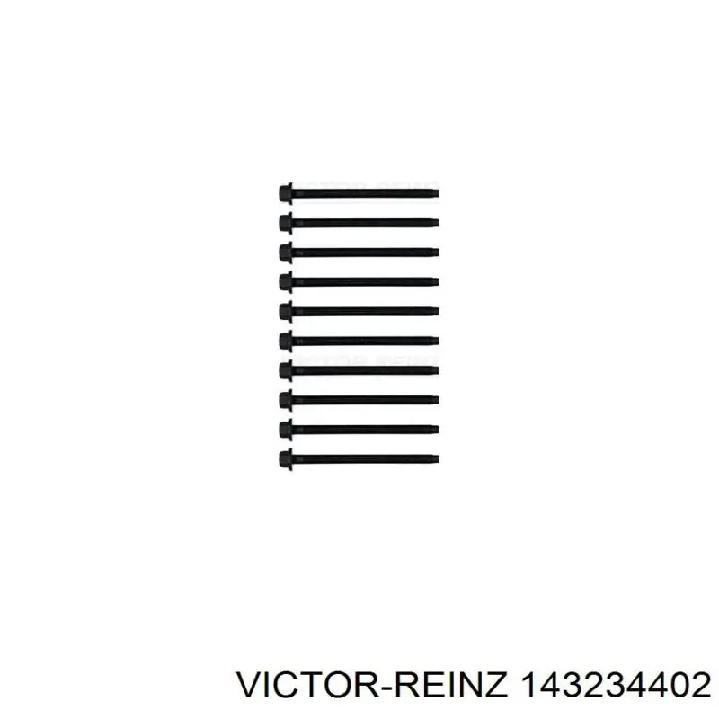 Tornillo de culata 143234402 Victor Reinz