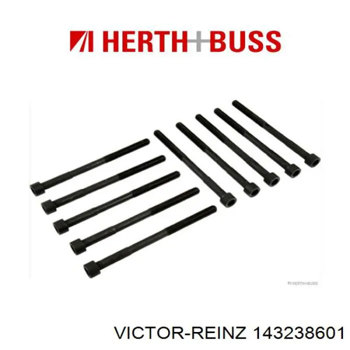 143238601 Victor Reinz