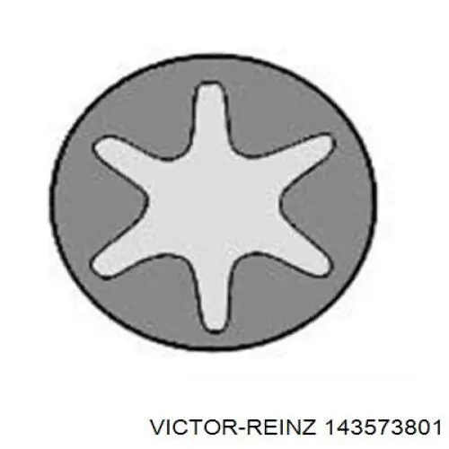 Болт головки блока циліндрів, ГБЦ 143573801 Victor Reinz