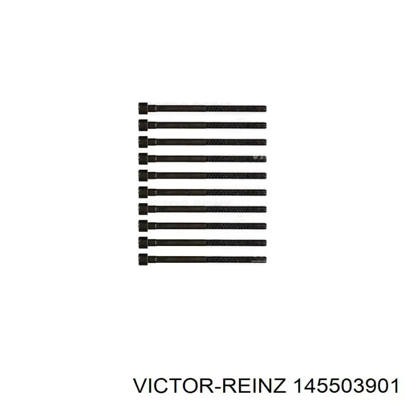 14-55039-01 Victor Reinz болт гбц