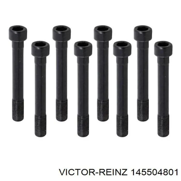 Болт головки блока цилиндров, ГБЦ Victor Reinz 145504801 цена, от 22.44 USD