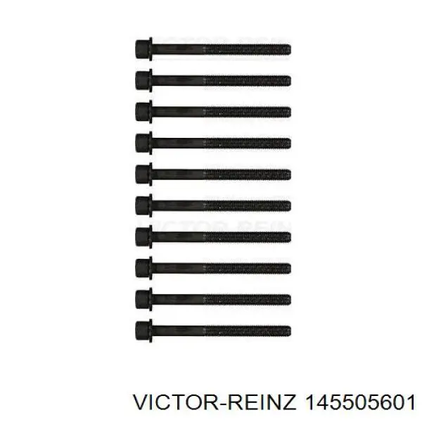 Болт головки блока цилиндров, ГБЦ Victor Reinz 145505601 цена, от 32.56 USD