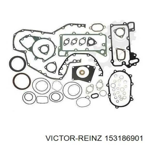 153186901 Victor Reinz прокладка передней крышки двигателя правая