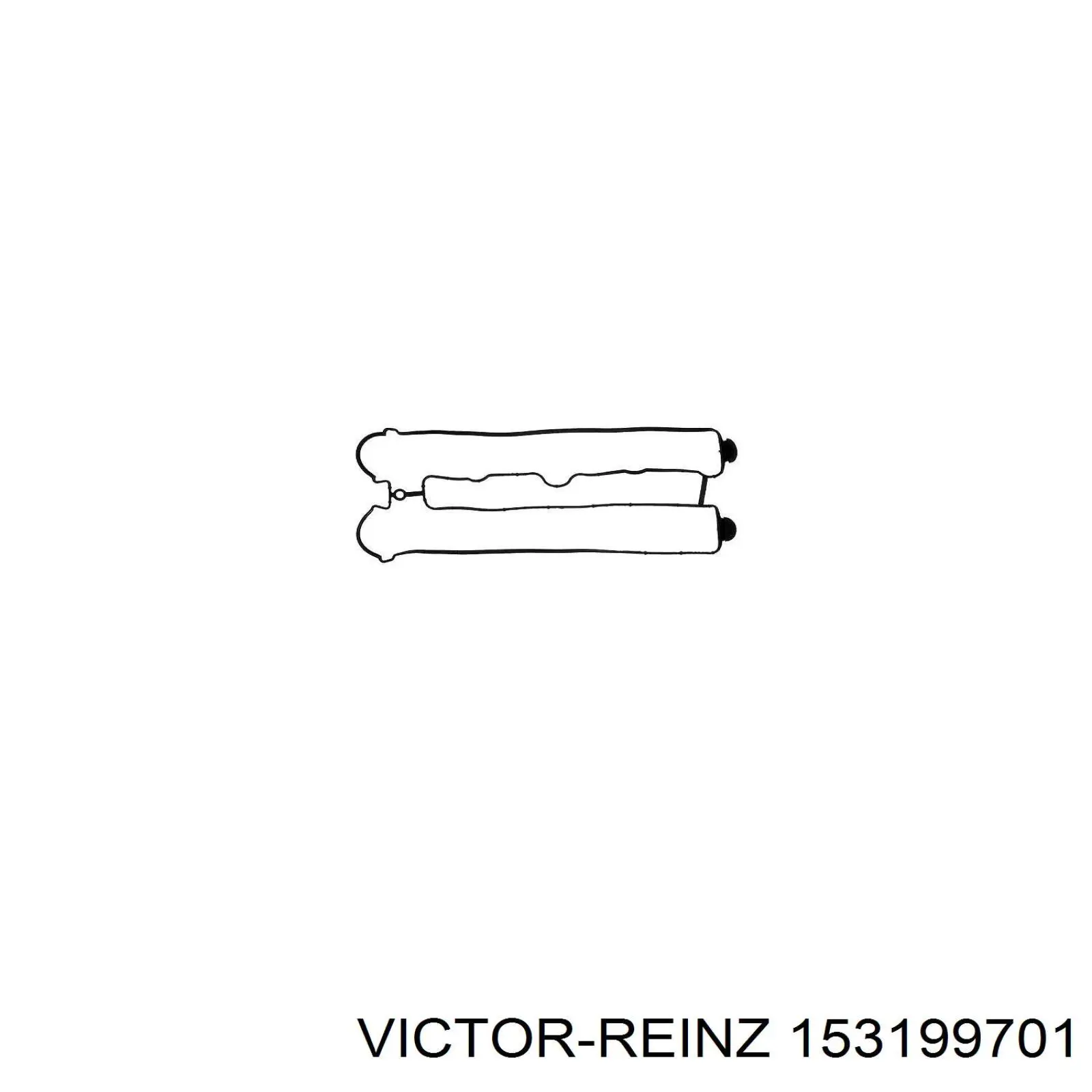 153199701 Victor Reinz