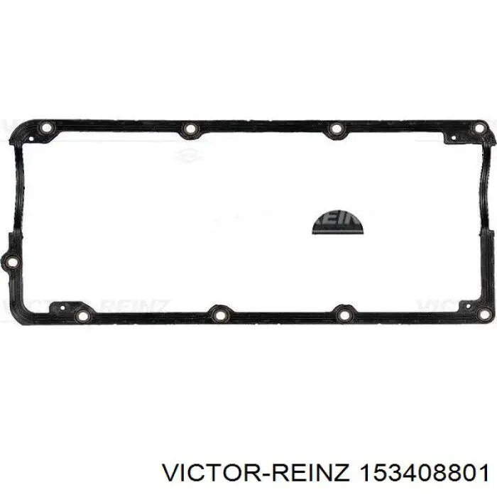 153408801 Victor Reinz