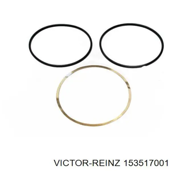 Кольцо уплотнительное под гильзу двигателя Victor Reinz 153517001