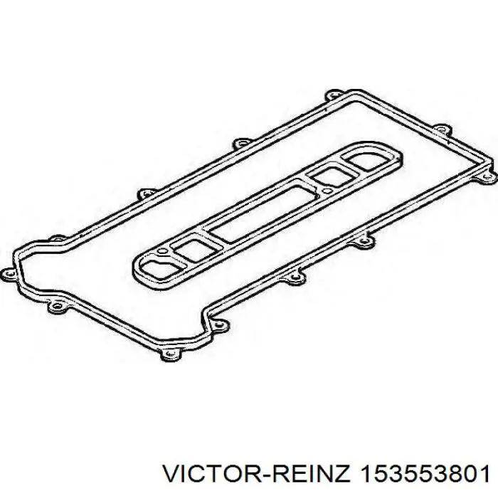 153553801 Victor Reinz