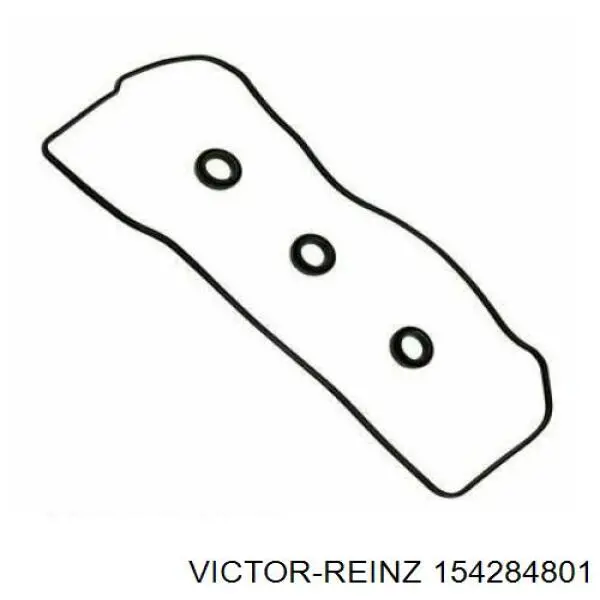 154284801 Victor Reinz