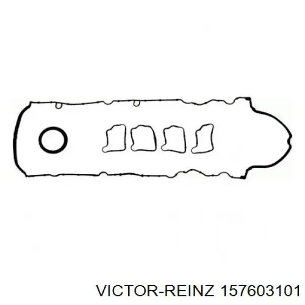 157603101 Victor Reinz