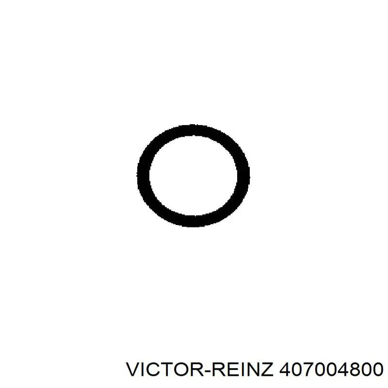 Кольцо (шайба) форсунки инжектора посадочное VICTOR REINZ 407004800