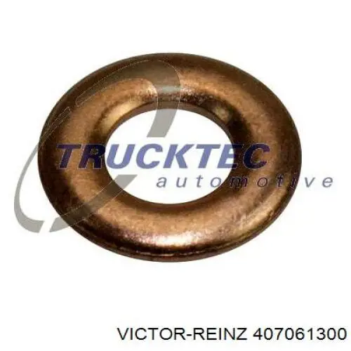 407061300 Victor Reinz кольцо (шайба форсунки инжектора посадочное)