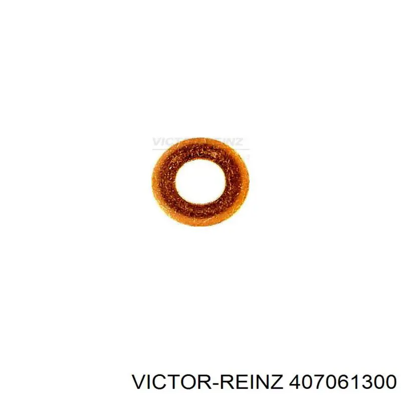 407061300 Victor Reinz
