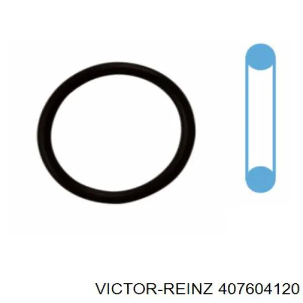 Прокладка пробки поддона двигателя 407604120 Victor Reinz