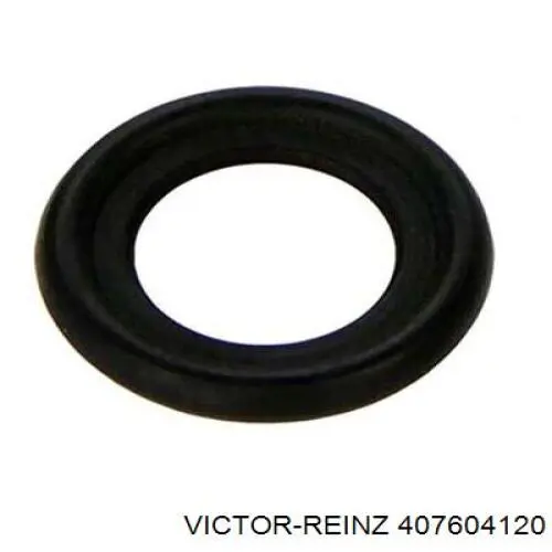 Прокладка пробки поддона двигателя Victor Reinz 407604120 цена, от 0.42 USD