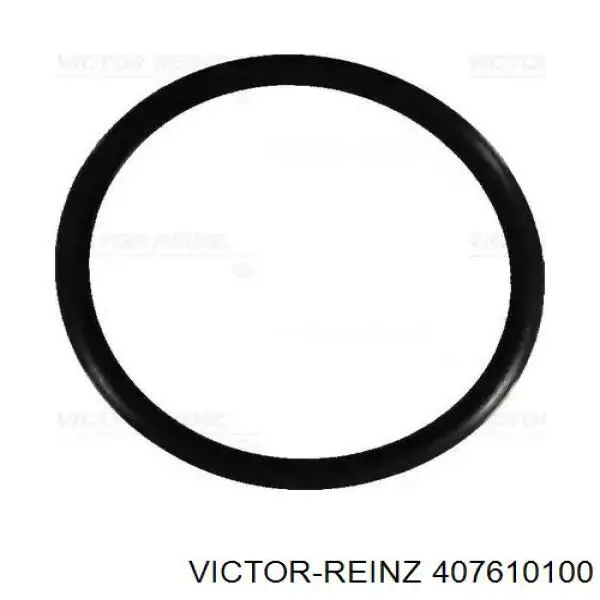 407610100 Victor Reinz 