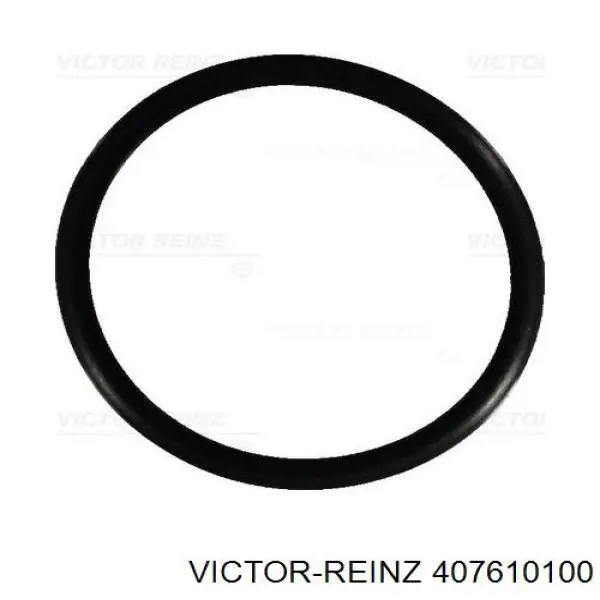 Купить 407610100 Victor Reinz Прокладка свечного колодца